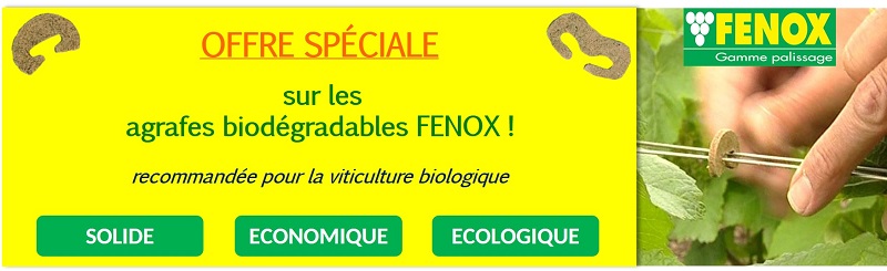 Agrafes bois biodégradable FENOX