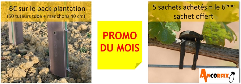 Promotion pack plantation et ancorfix