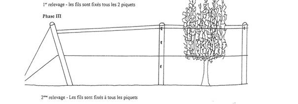 Lifting method