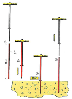 Piantatoio Fenox