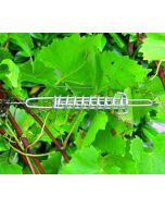 Trellising wire spring