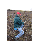 Seggiolino per lavori nel vigneto