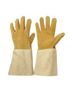 Gants débroussaillage épineux rosieriste