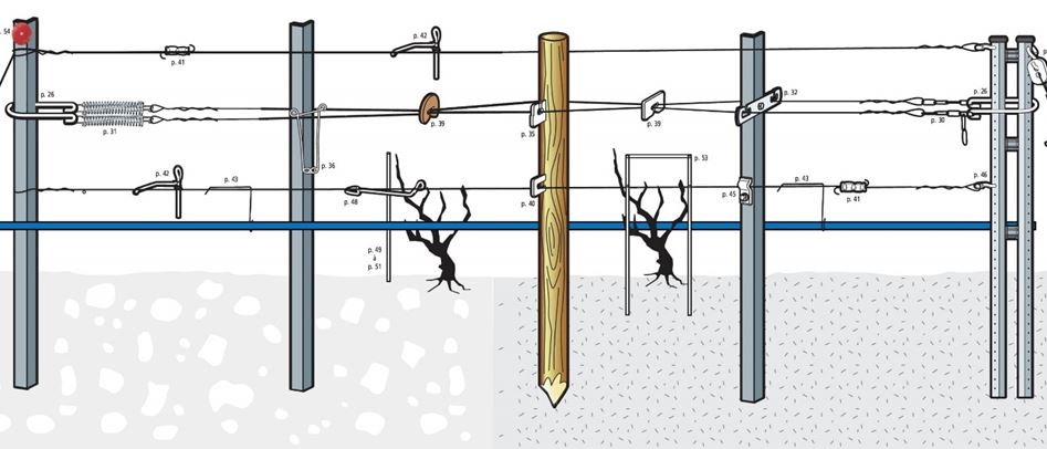 fils releveurs palissage vigne